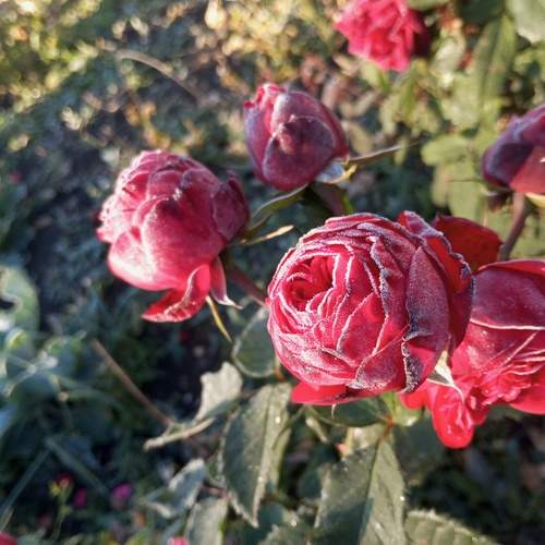 Photo #11857180