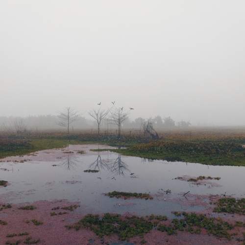 Photo #11857183