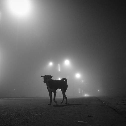 Photo #11857263