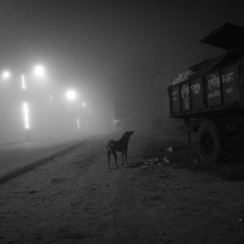 Photo #11857274