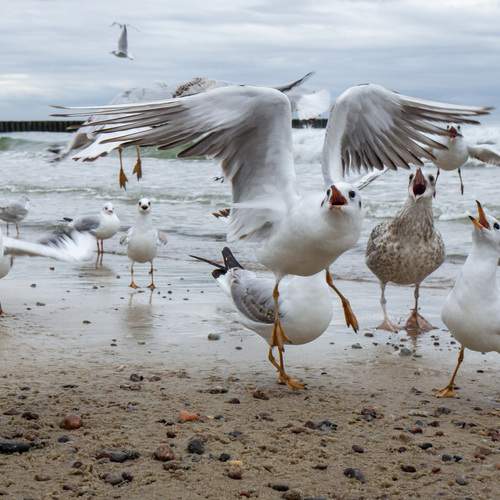 Photo #11857358