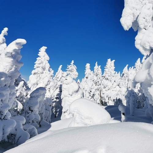 Photo #11857403