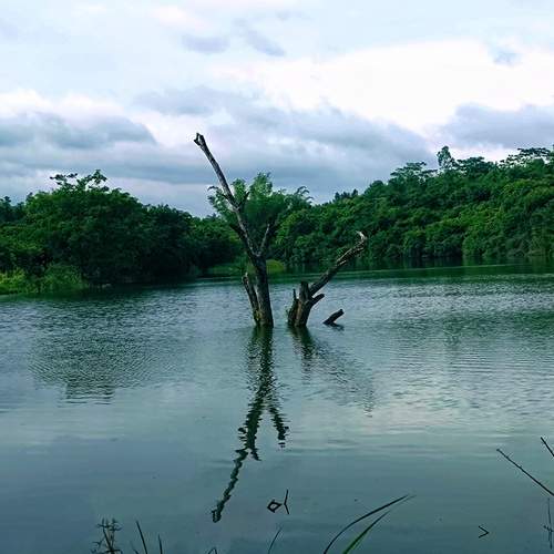 Photo #11857418