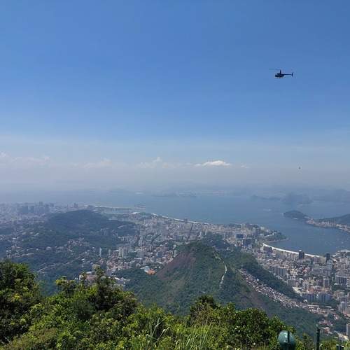 Photo #11857504