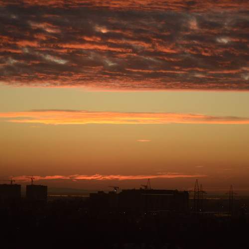 Photo #11857618
