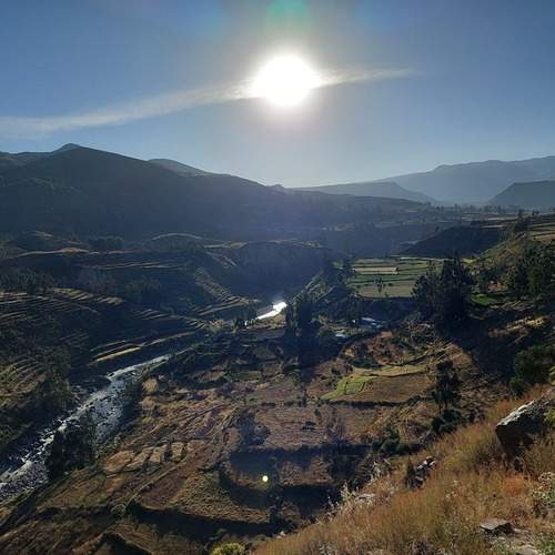 Photo #11857730