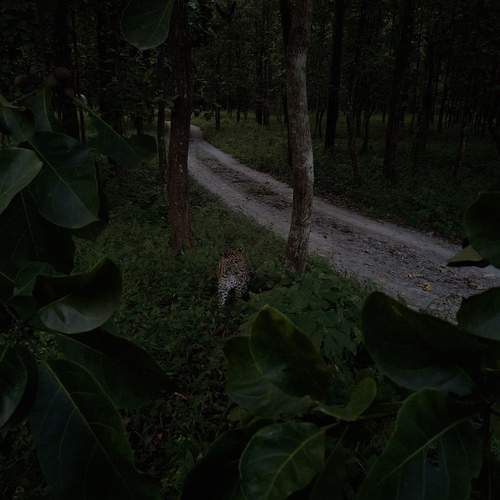 Photo #11857745