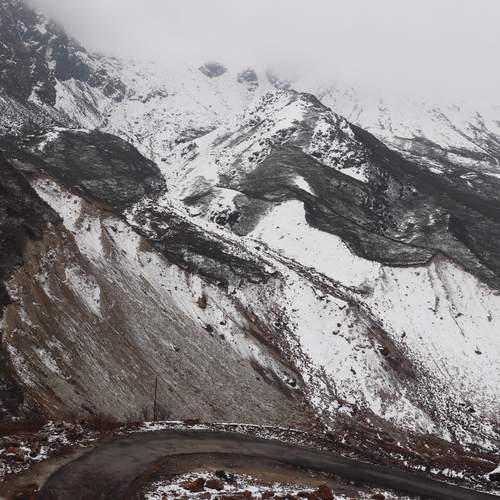 Photo #11857781