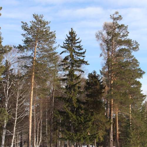 Photo #11857857
