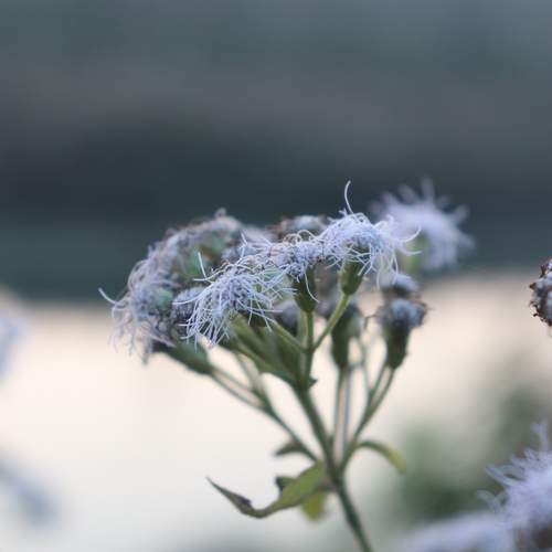 Photo #11857861