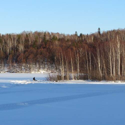 Photo #11857905