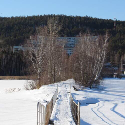 Photo #11857936