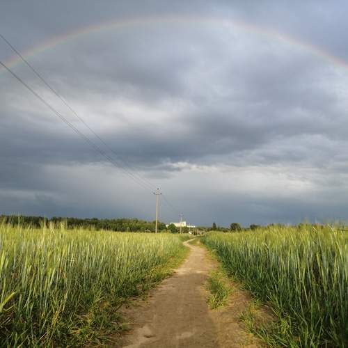 Photo #11858057