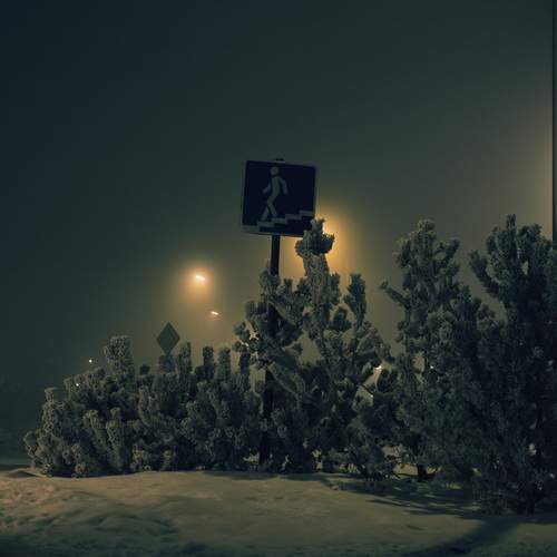 Photo #11858330