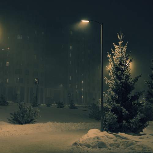 Photo #11858332