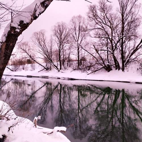 Photo #11858360