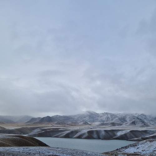 Photo #11858543