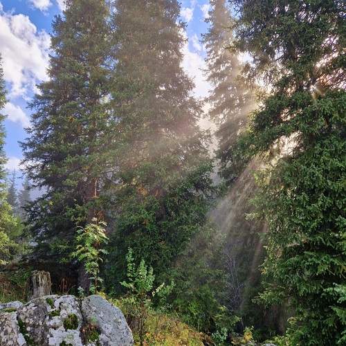 Photo #11858545