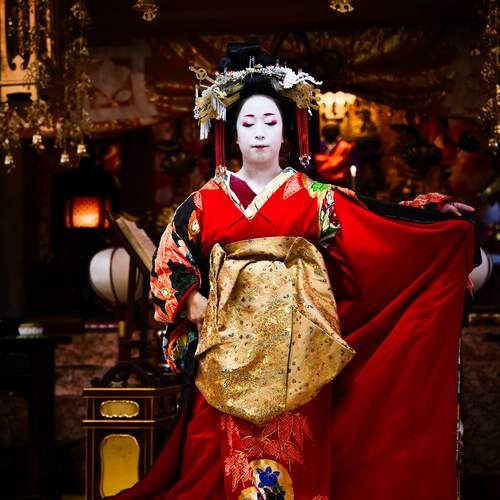 Photo #11858788