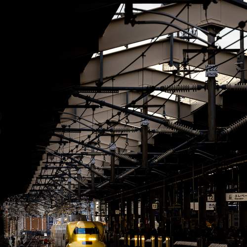 Photo #11858903