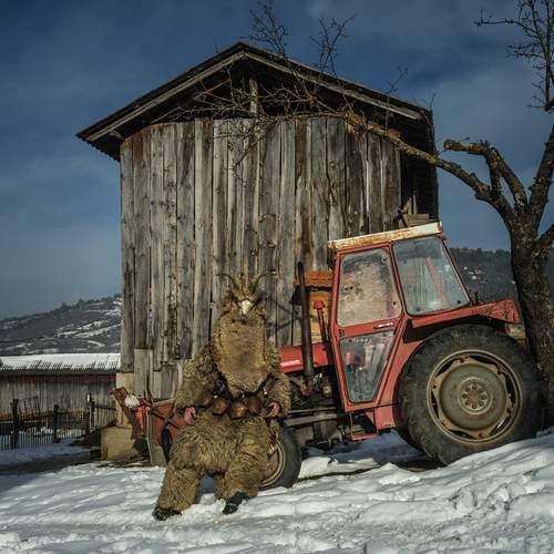 Photo #11858906