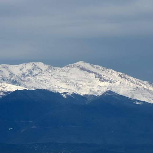 Photo #11858951