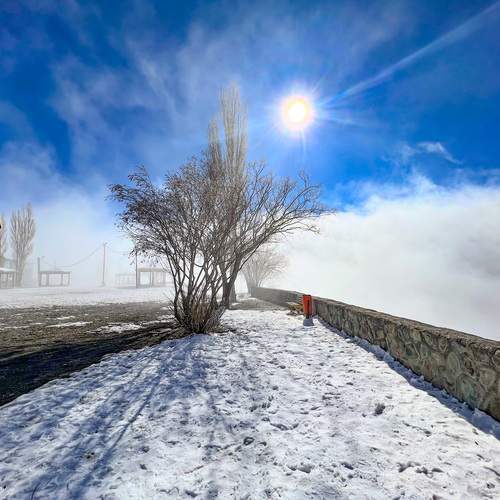 Photo #11858952