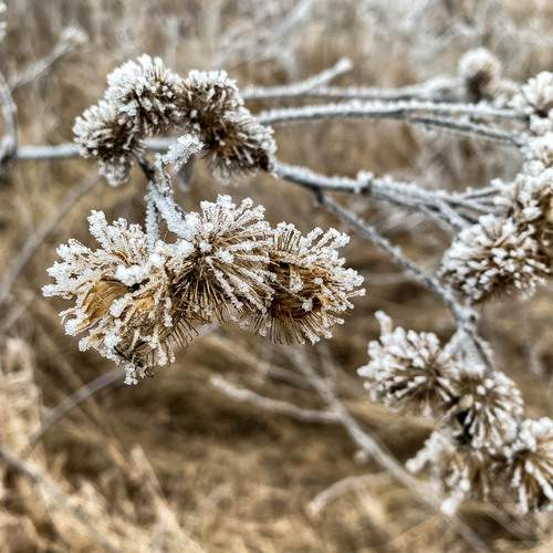 Photo #11859176