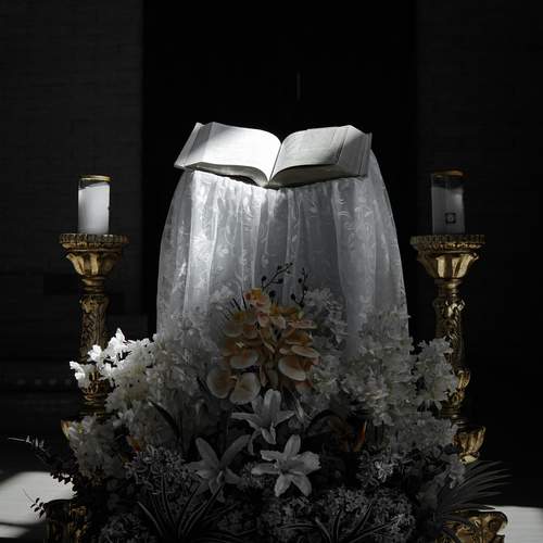 Photo #11859284