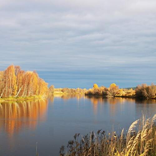 Photo #11859355