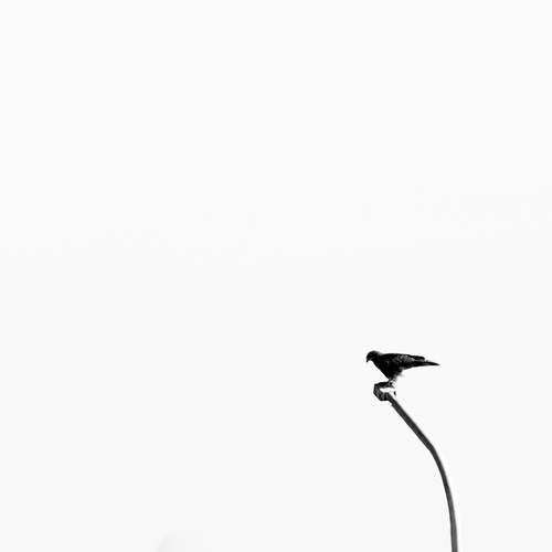 Concrete and Courage