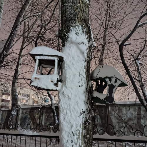 Photo #11859390