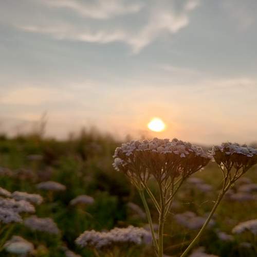 Photo #11859405