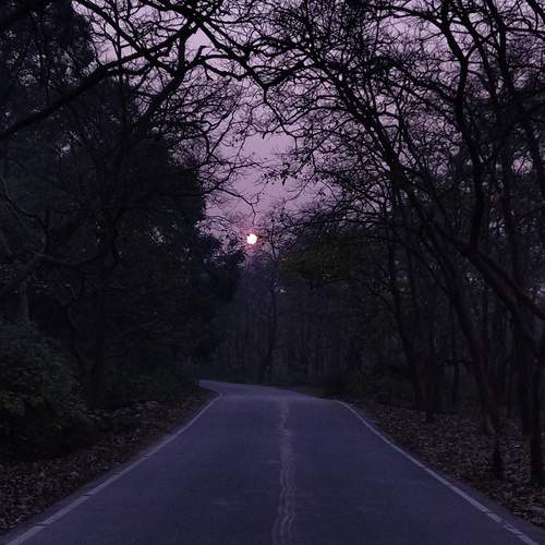Photo #11859503