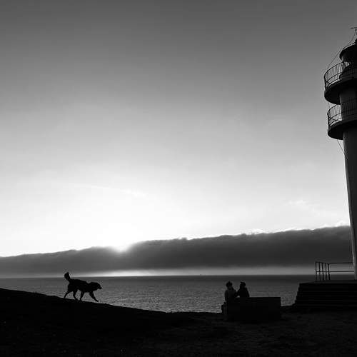 Photo #11859532