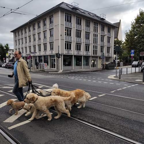 Photo #11859575