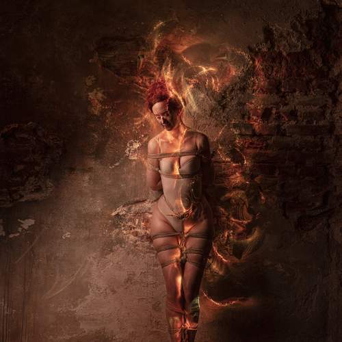 Photo #11859609