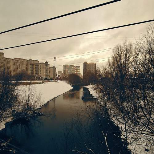 Photo #11859752