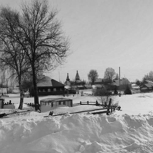 Photo #11859879