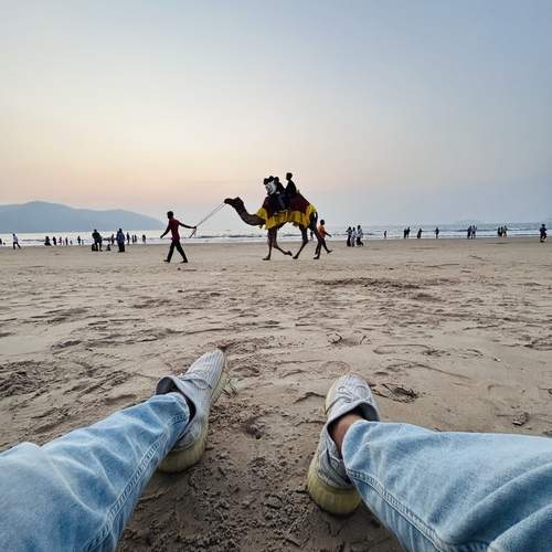 Photo #11859967