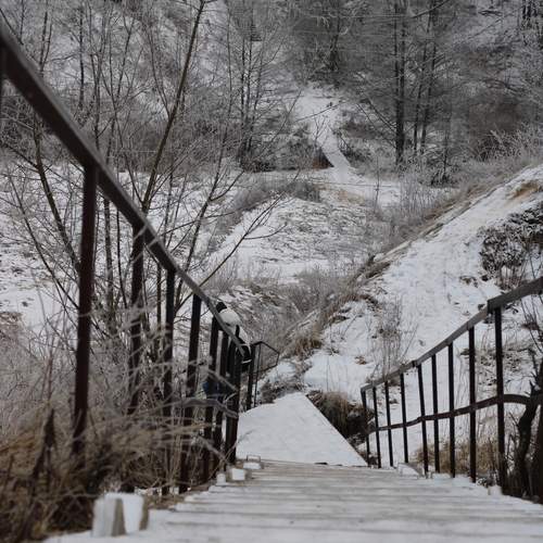 Photo #11860099