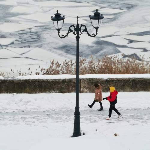 Photo #11860133