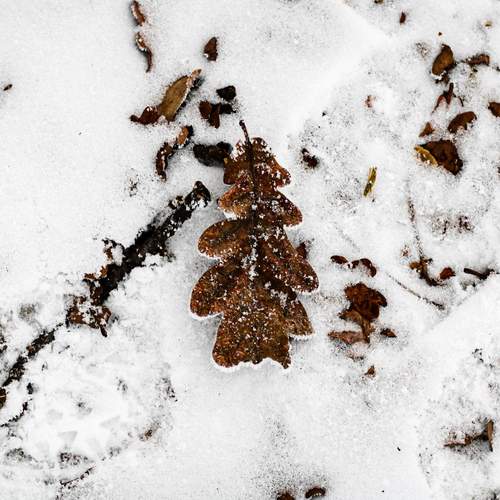 Photo #11860155