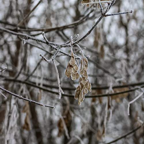 Photo #11860180