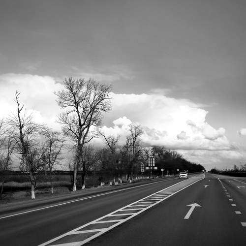 Photo #11860181