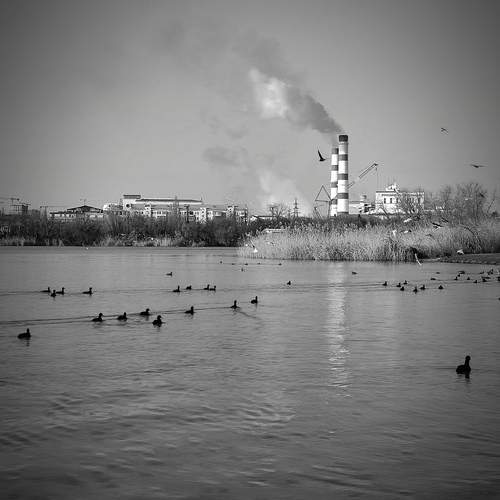 Photo #11860196
