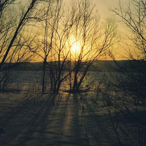 Photo #11860204