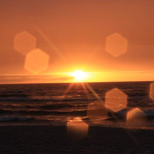 Photo #11860277
