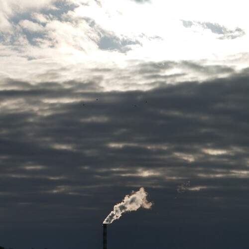 Photo #11860308