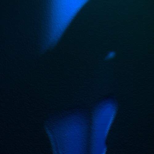 Photo #11860336